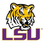 South Carolina Gamecocks vs. LSU Tigers