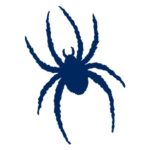 William & Mary Tribe vs. Richmond Spiders